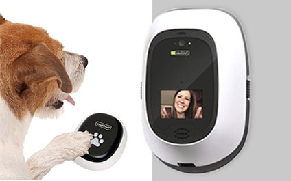 Shiny New Gadget Of The Month: PetChatz HD Pawcall FaceTime With Your Dog!