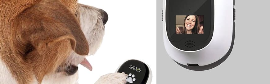 Facetime shop pet cam