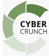 Cyber-Crunch